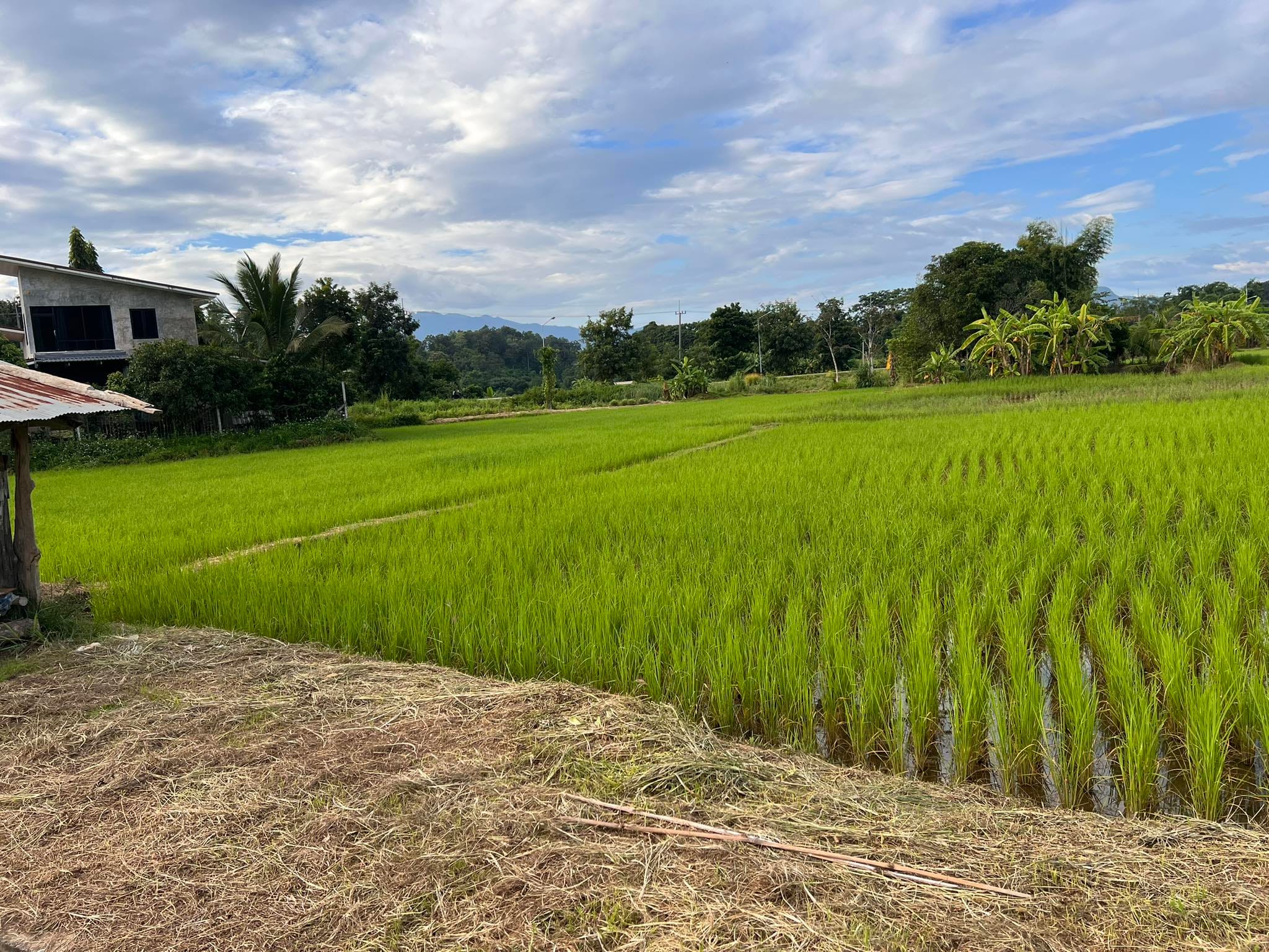 ขายที่ดินถนนเลี่ยงเมือง จ.แม่ฮ่องสอน
