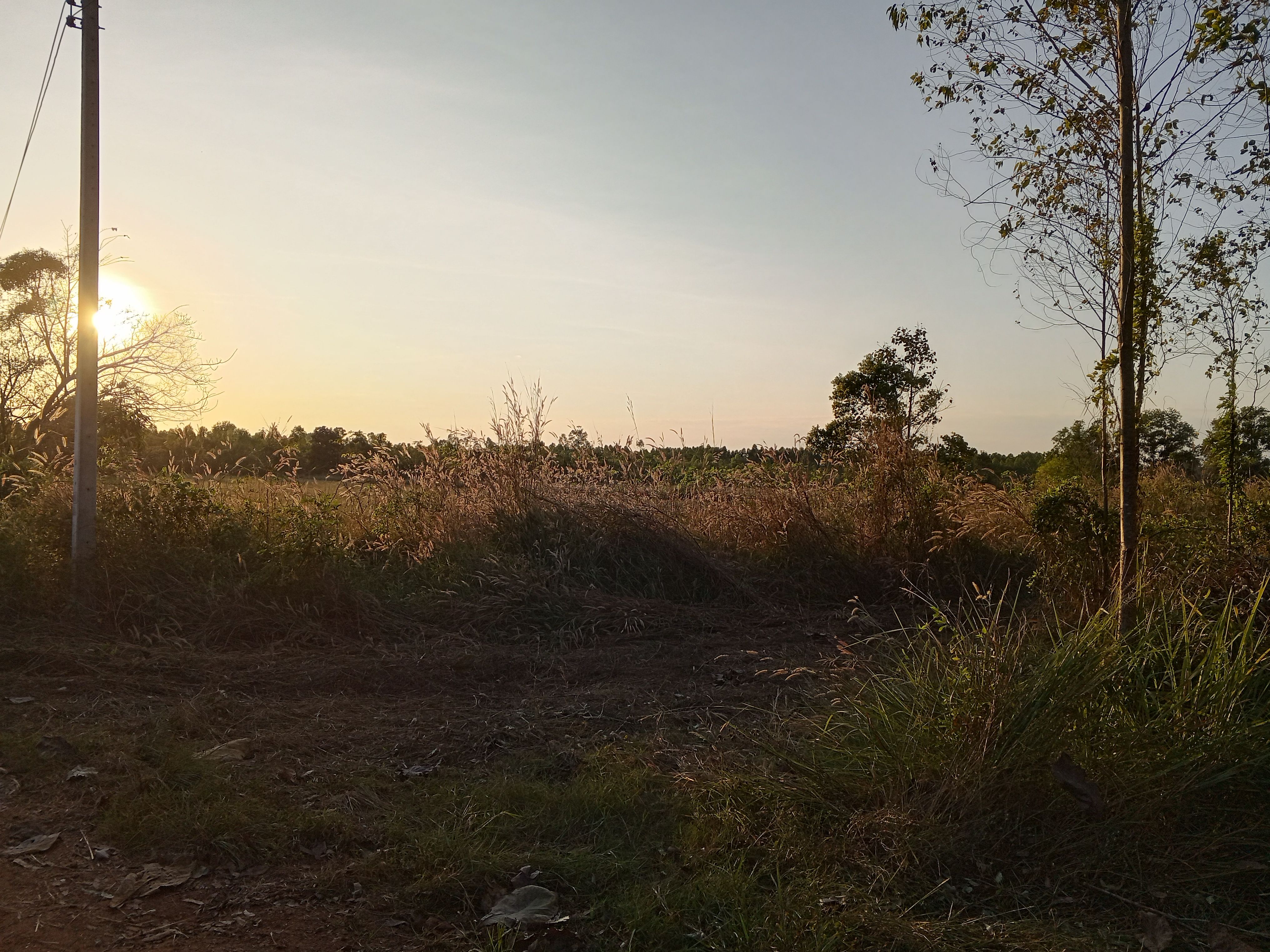 ขายที่ดินสำหรับทำเกษตรแปลงใหญ่