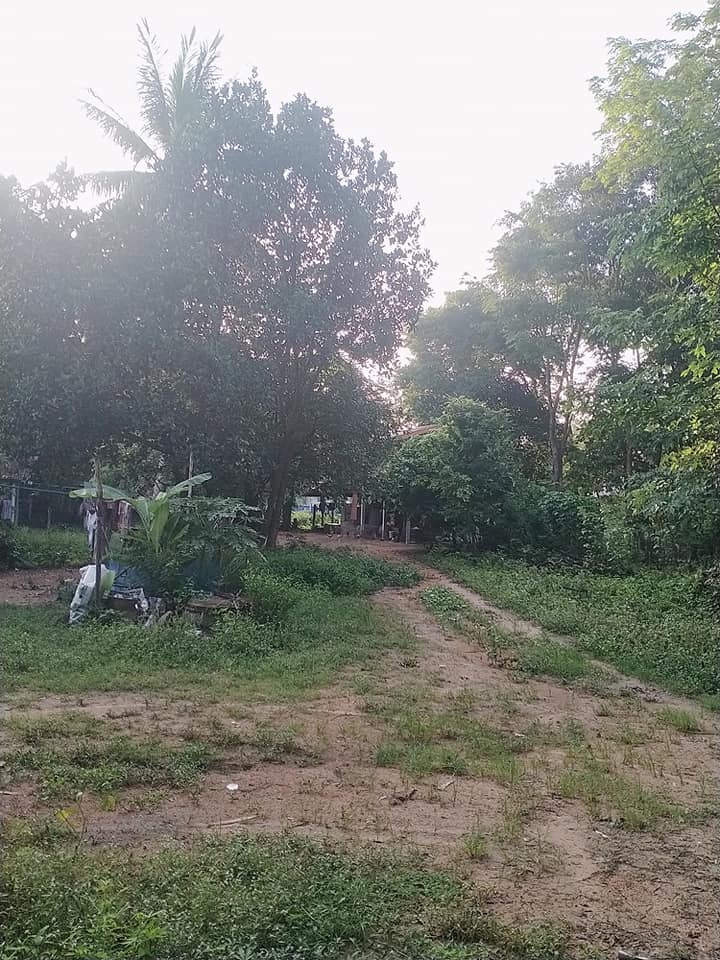 ที่ดินพร้อมสิ่งปลูกสร้าง อุบลราชธานี 1-0-31 ไร่