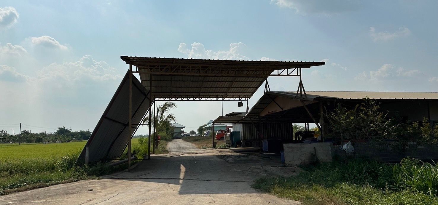 ขายที่ดินปทุมธานี ที่ดินพร้อมสิ่งปลูกสร้าง ตัวที่ดินอุดมสมบูรณ์ ลงทุน หรือ ปลูกบ้านได้ คลองหลวง ปทุมฯ 10-0-0