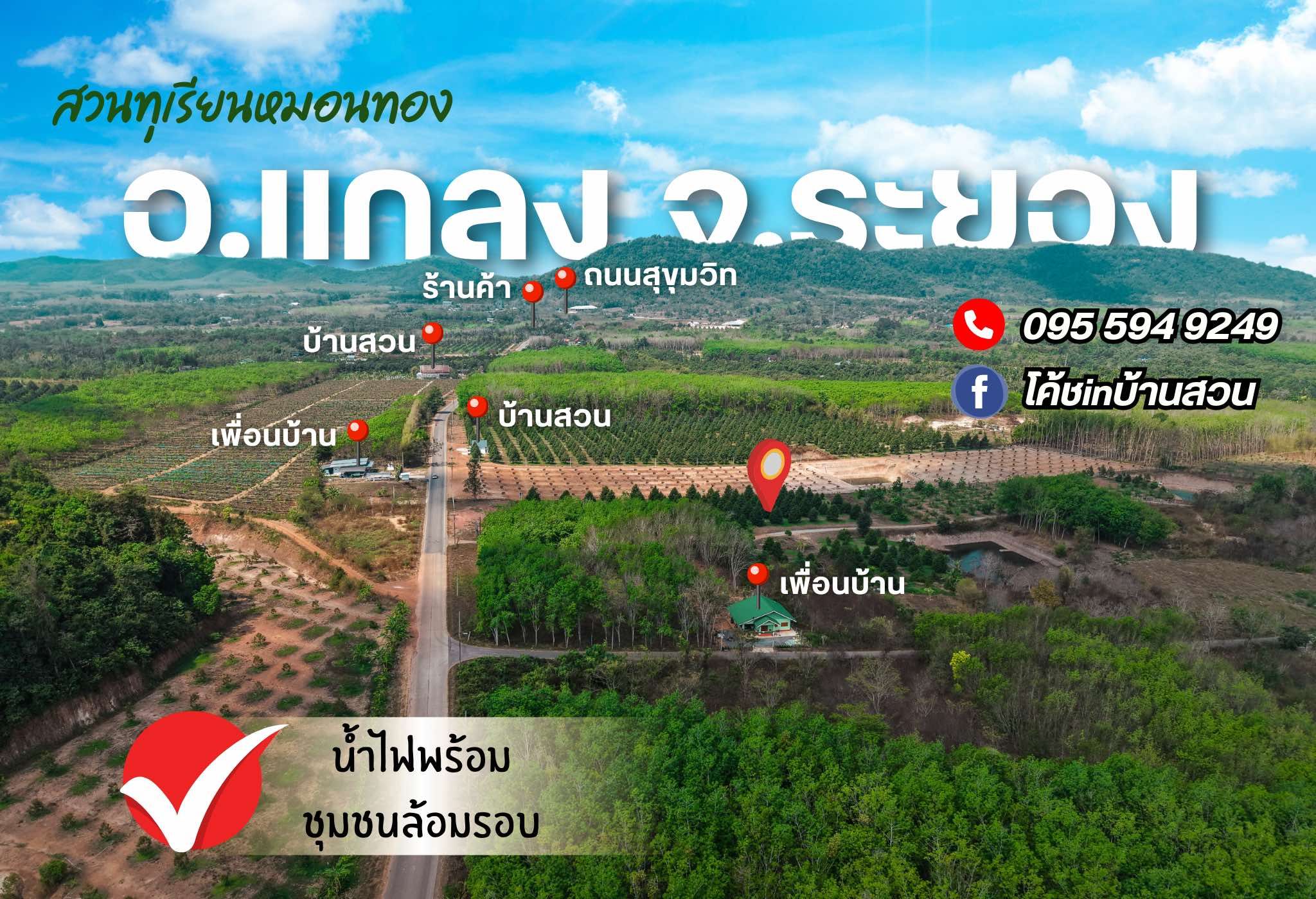 สวนทุเรียนหมอนทอง 