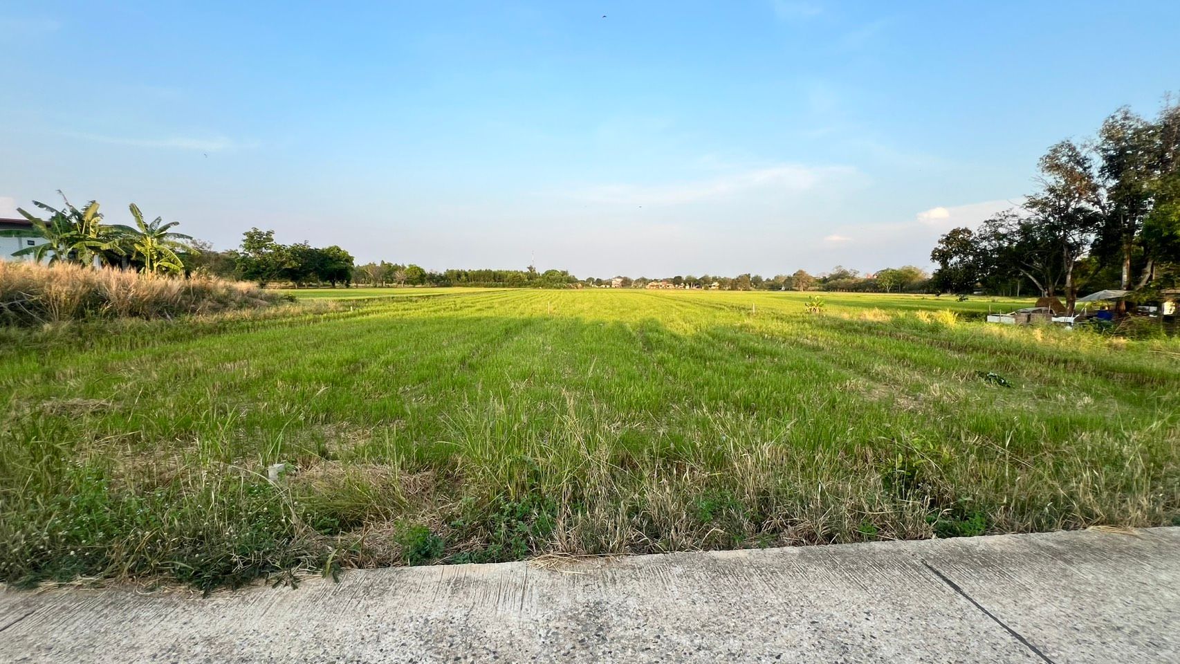 ที่ดิน 31 ไร่ 1 งาน 50 ตร.วา ทำเลเด่น ติดถนน-ติดคลอง บรรยากาศดี