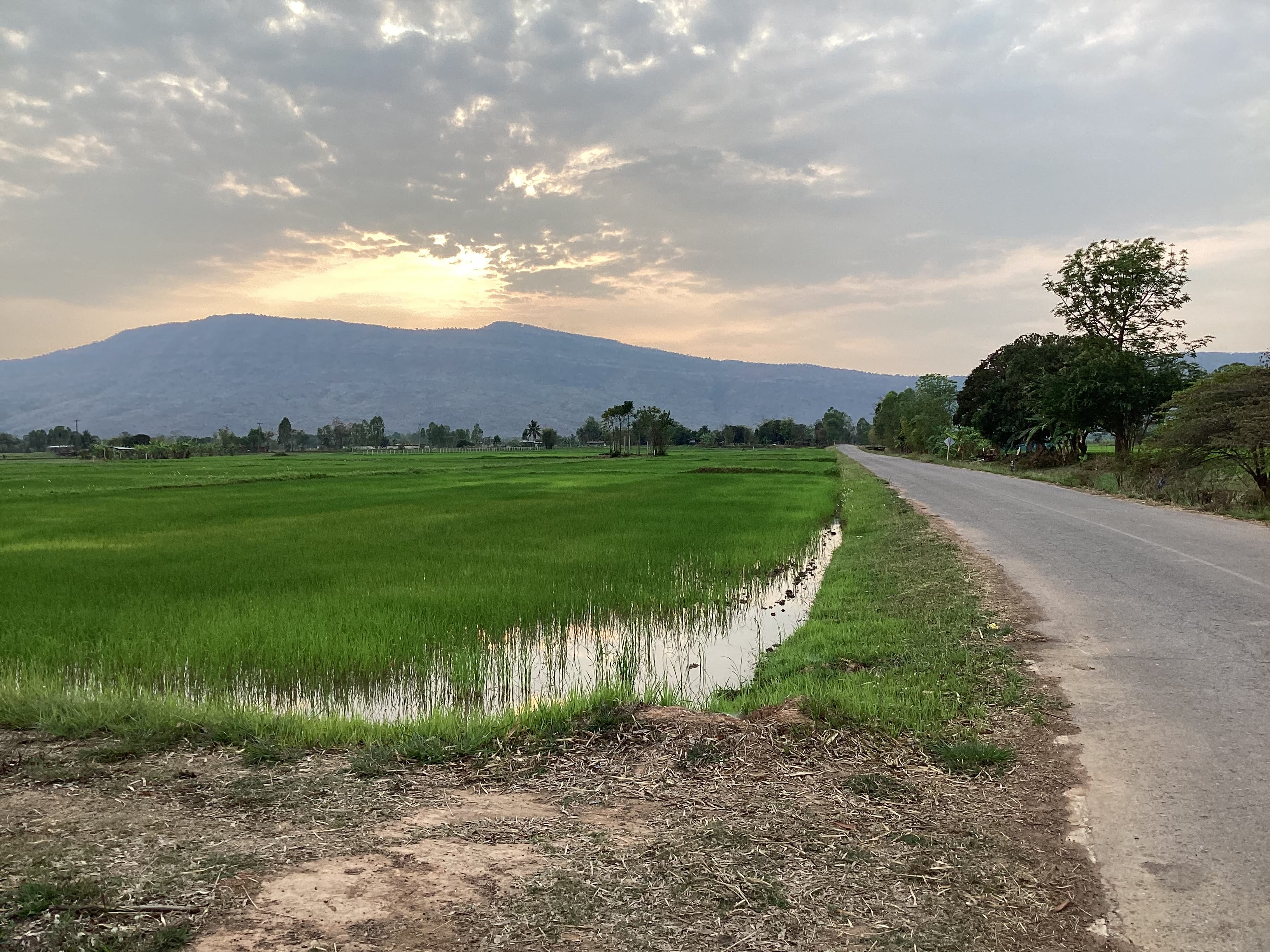 ขายด่วน!ที่สวยวิวภูเขา360องศา ราคาถูก  ใกล้คลองส่งนำ้มีถนนนำ้ไฟผ่าน