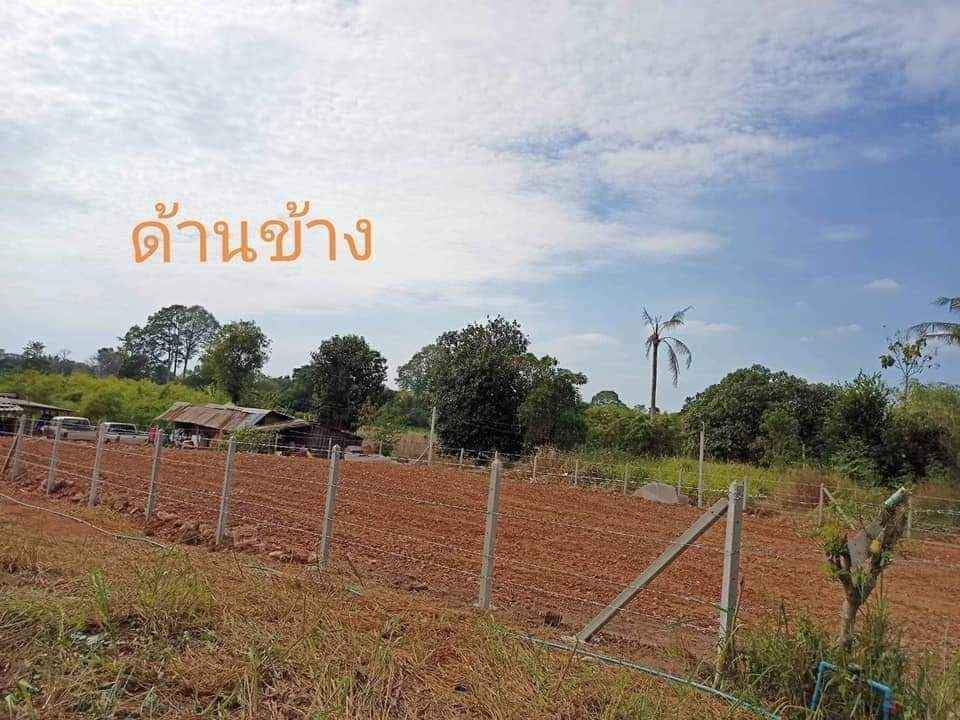 ที่ดินเปล่า เหมาะแก่การปลูกบ้าน ราชบุรี 0-1-97