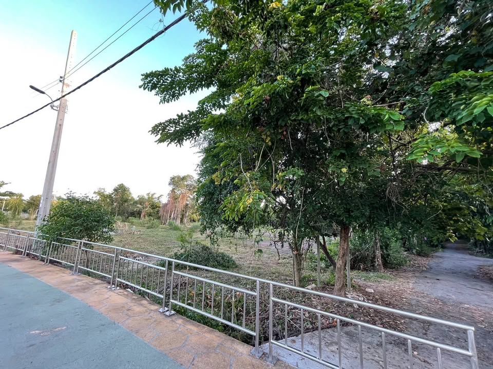 ขายที่ดิน เปล่า