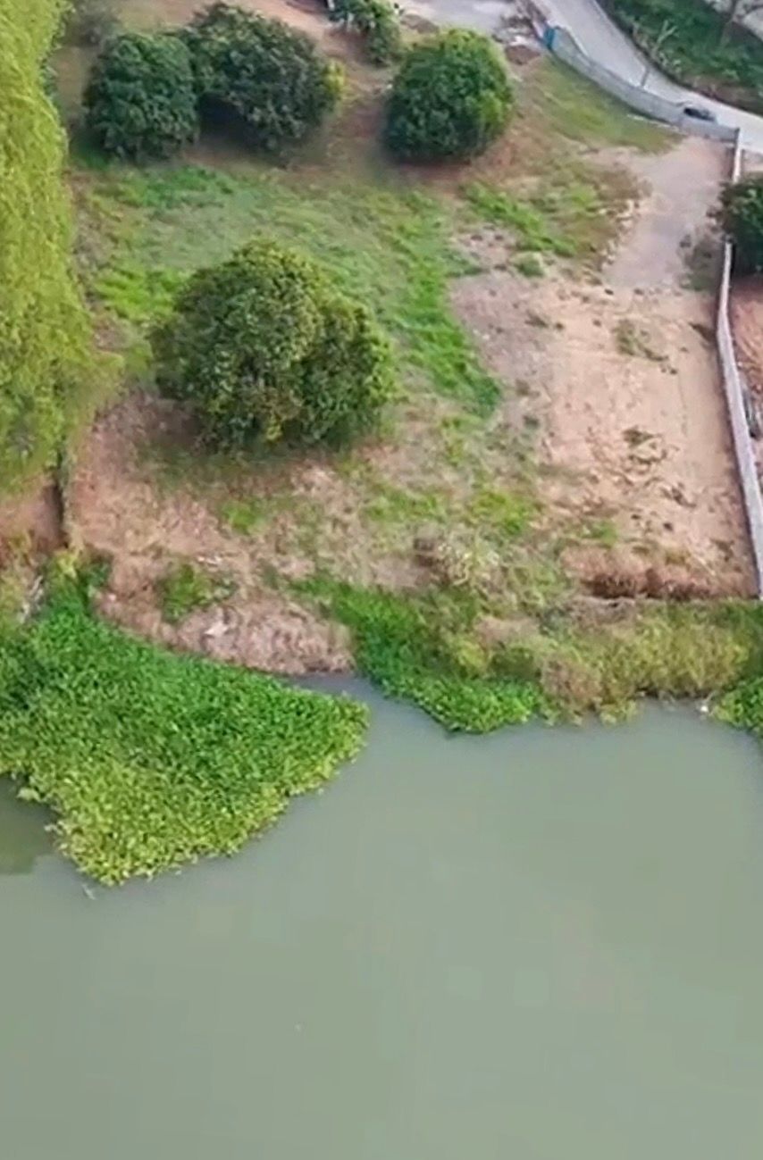 ขายที่ดินสระบุรี เสาไห้ ที่ติดแม่น้ำป่าสัก 2 ไร่