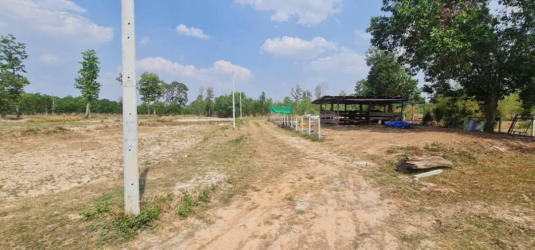 ขายที่ดิน อ.เมือง อุดรธานี