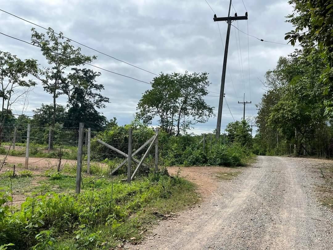 ขายที่ดินติดทางขึ้นดอยอินทนนท์, จอมทอง, เชียงใหม่