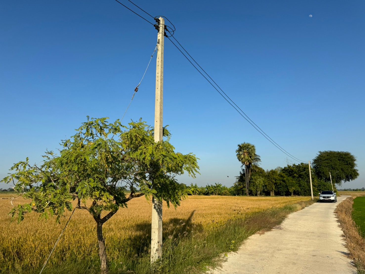 ขายที่ดินถูกมาก ถูกที่สุดในอ่างทอง 4 ไร่ ยกแปลงเพียง 1.25 ล้านบาท ไร่ละประมาณ 3 แสน เพียงเท่านั้น ใกล้ตลาดสามโก้ ในเขตเทศบาล ถนน ไฟ น้ำประปา ไฟทางส่องสว่าง มีเพื่อนบ้าน และสิ่งอำนวยความสะดวกครบครัน