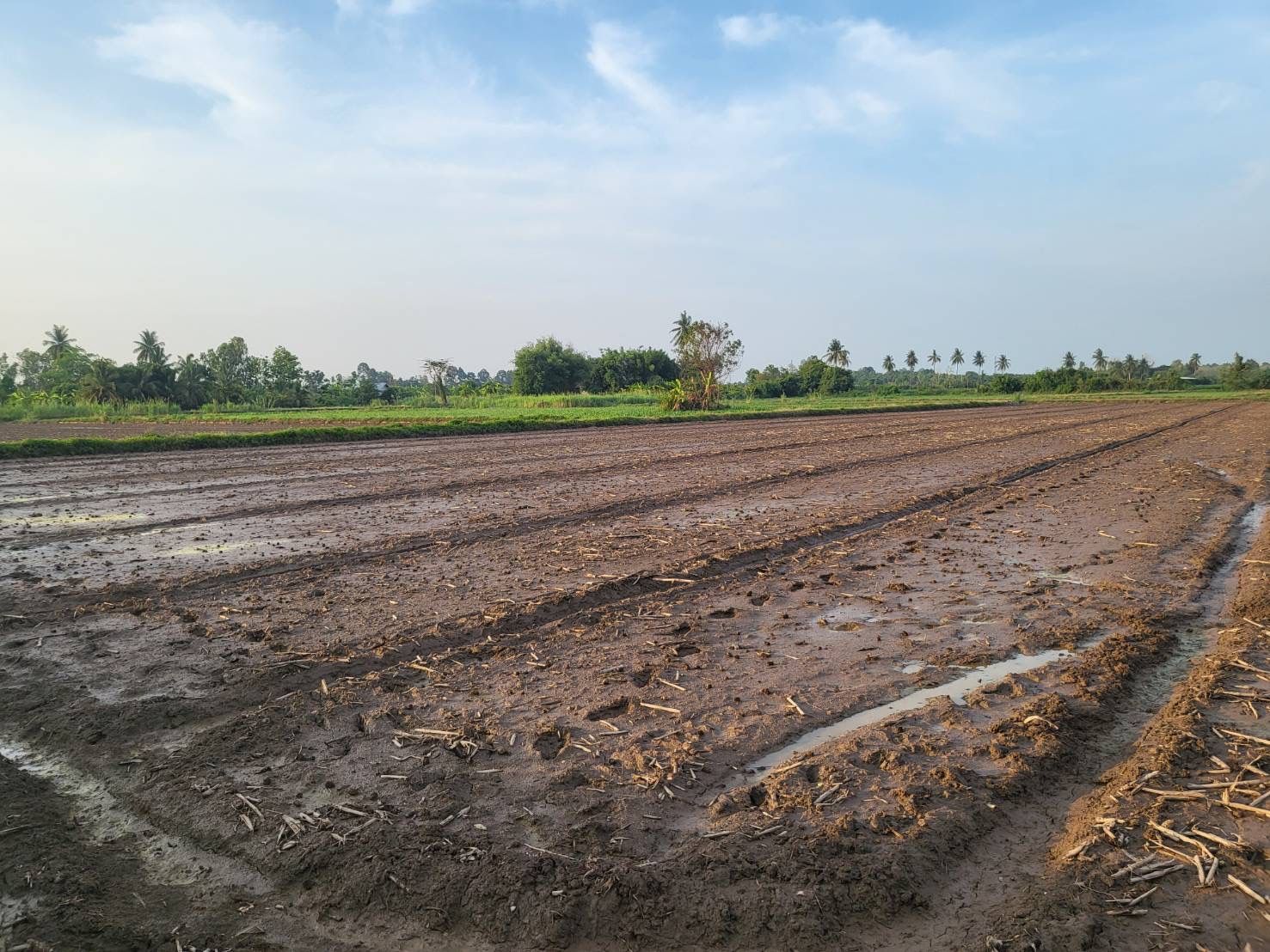 ขายที่ดิน จังหวัดพิจิตร