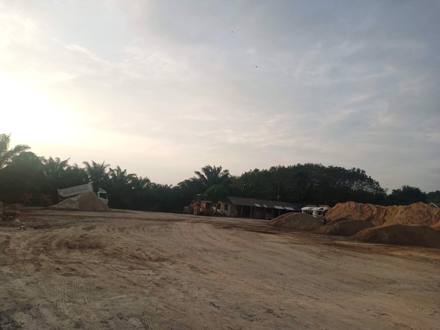 ขายที่ดินสวนปาล์ม เกาะลันตา กระบี่ 10-2-44 ไร่