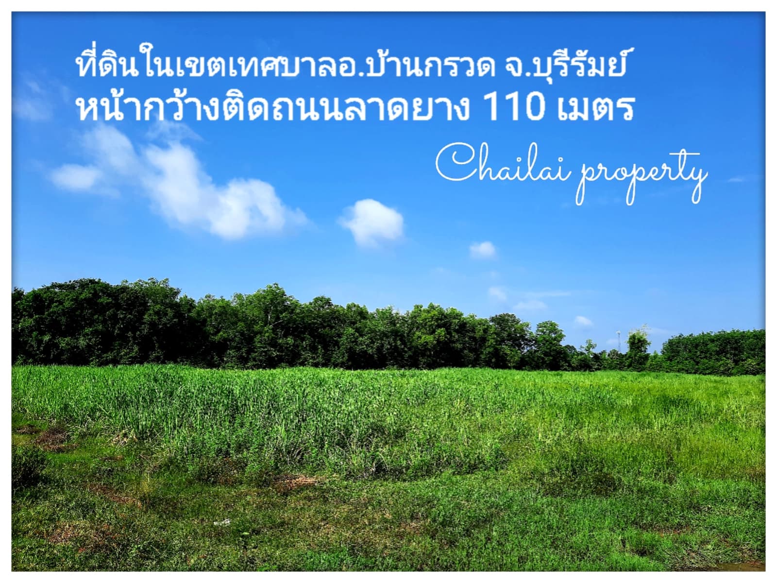 ที่ดินเปล่า บ้านกรวด บุรีรัมย์ 11-3-17