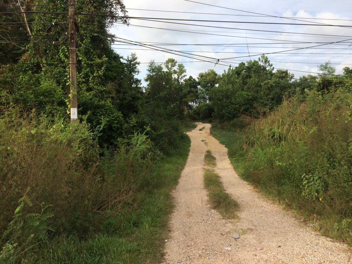 ขายที่ดินนราธิวาส เมืองนราธิวาส 0-1-77.7
