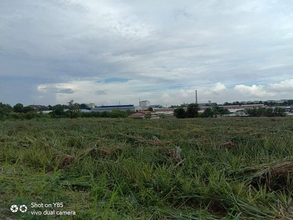ที่ดินในนิคมอุตสาหกรรม อมตะซิตี้ จ. ระยอง 4-2-13.3