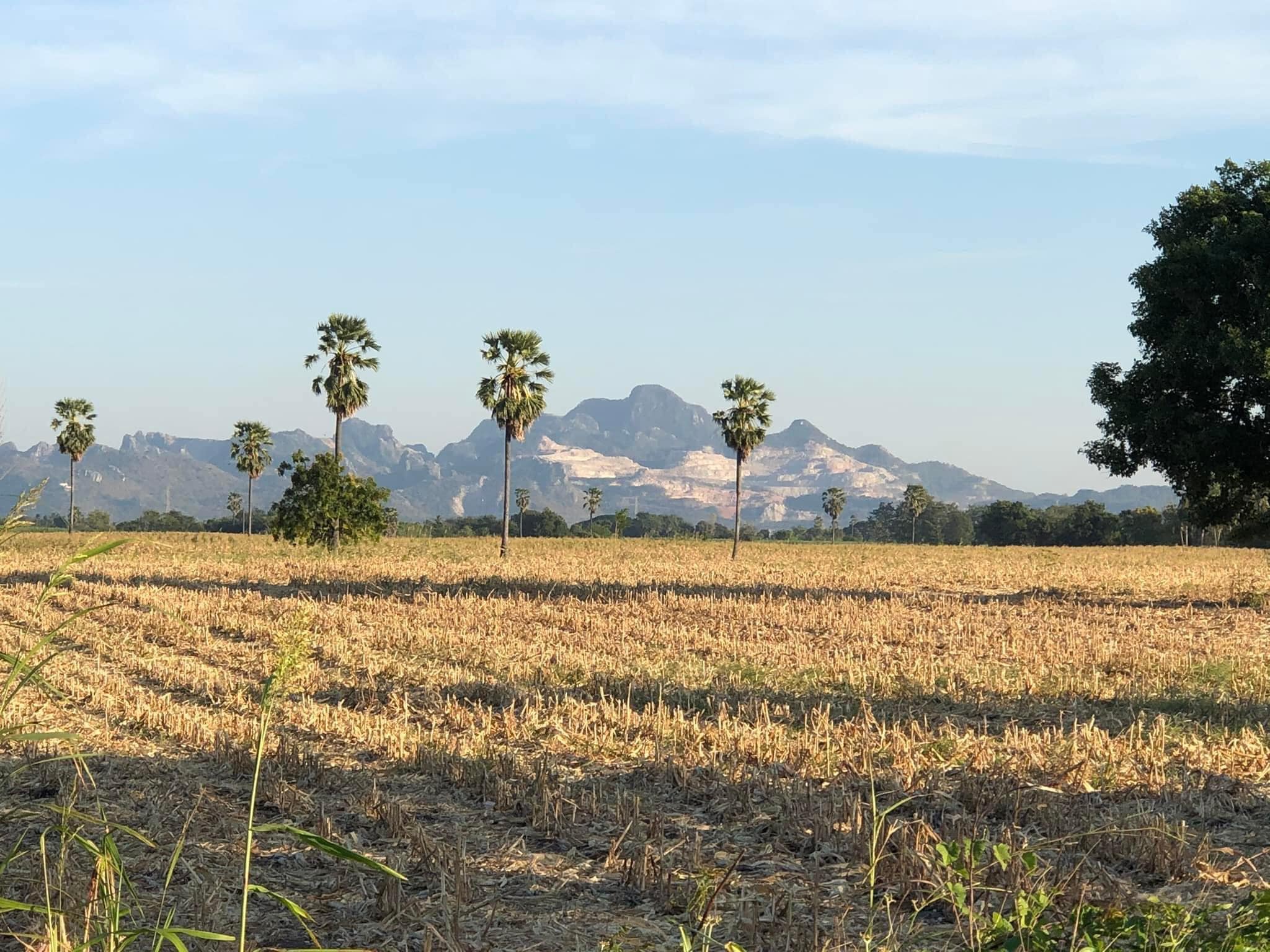 ขายที่ดิน ต.บ้านกลับ อ.หนองโดน จ.สระบุรี 112 ตรว.