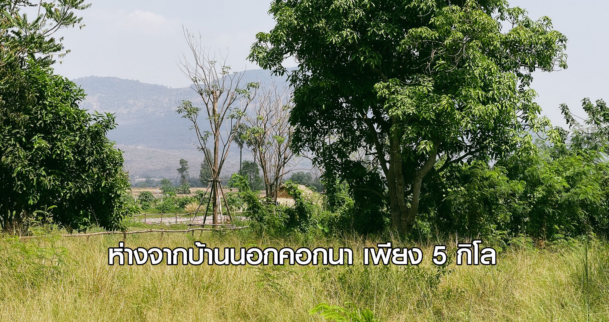 ที่ดินวิวภูเขา 4 ไร่ ปากช่อง นครราชสีมา