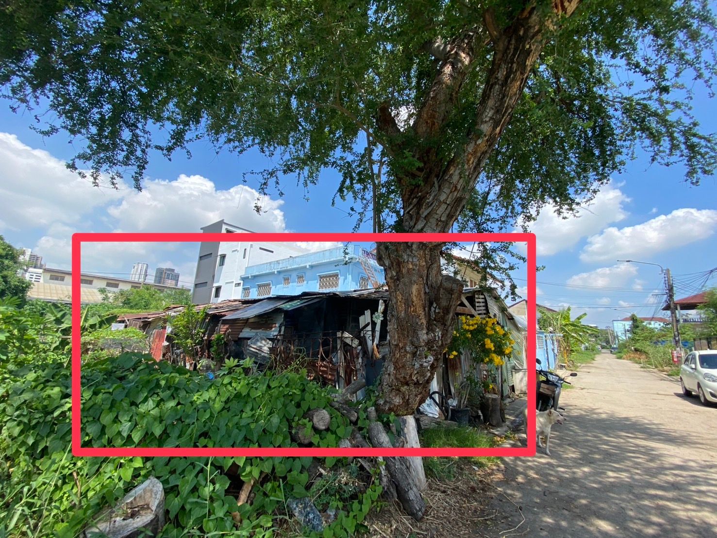 ขายที่ดินทำเลดี ย่านบางนา ซอย หมอบุญเจริญชัย เข้า-ออกสะดวก ใกล้สถานีรถไฟฟ้าศรีเอี่ยม 