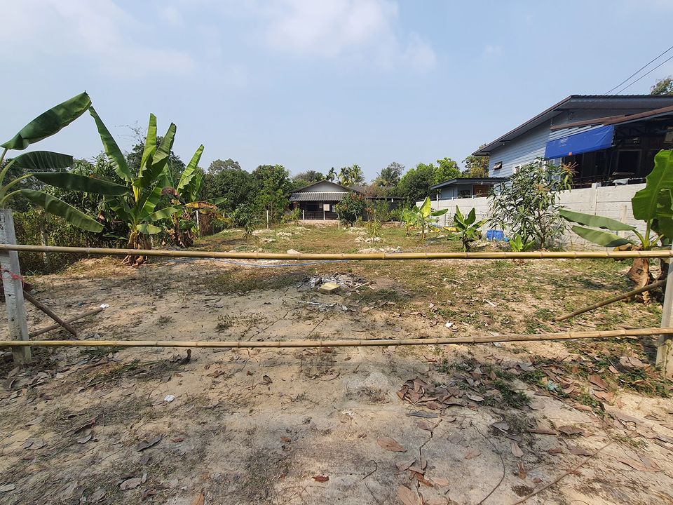 ขายที่ดิน นครนายก 65 ตรว.