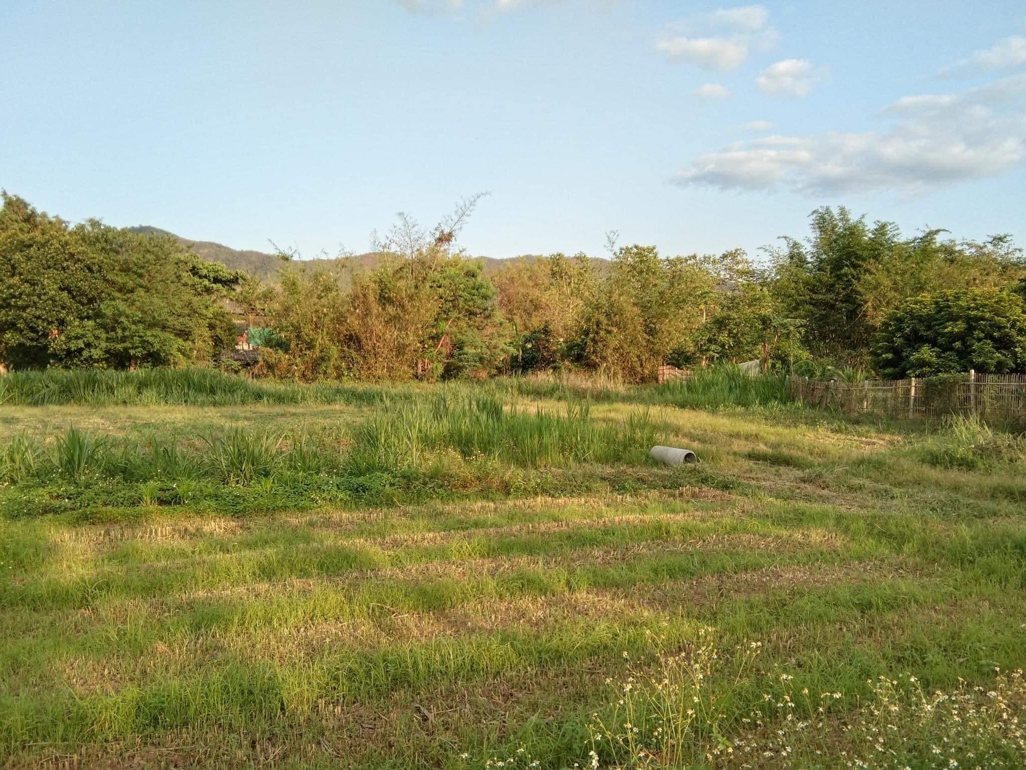 ขายที่ดิน เชียงใหม่ วิวภูเขา วิวทุ่ง 8-2-95