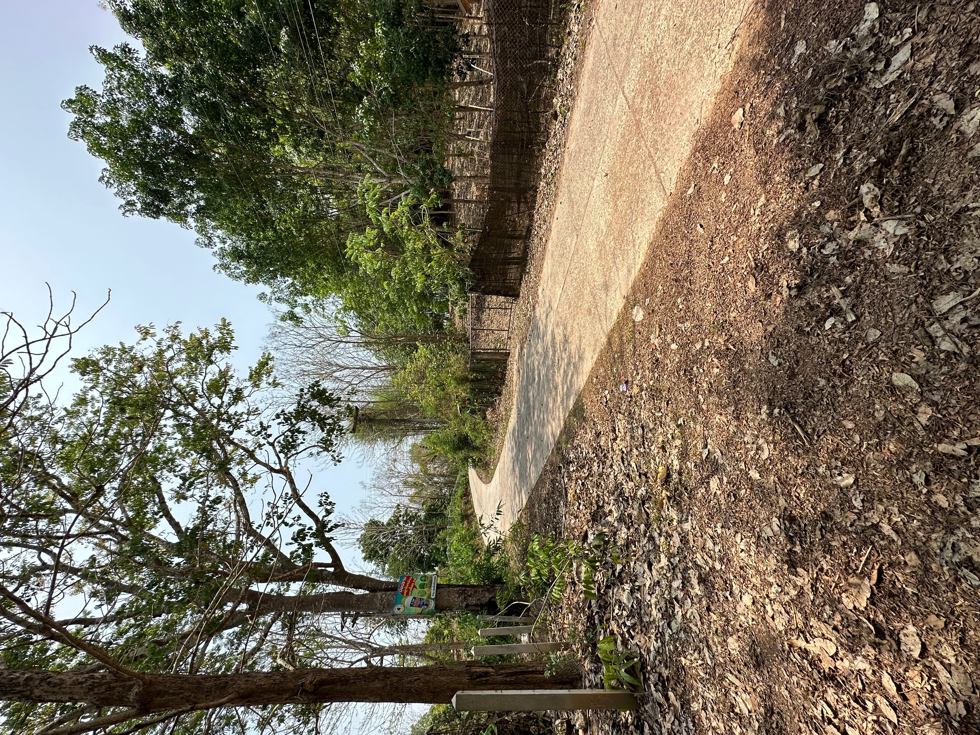 ที่ดินทุ้งช้าง
