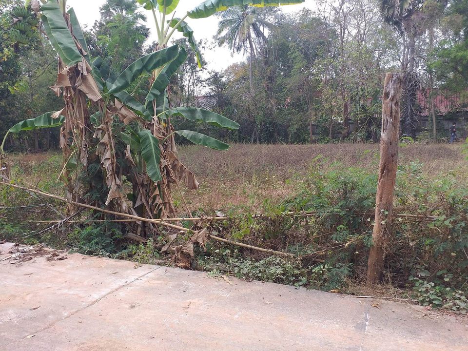 ที่ดิน อ.แวงใหญ่ ขอนแก่น 395 ตรว.