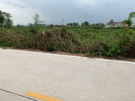 ที่ดินแปลงสวย ปทุมธานี 150 ตร.ว