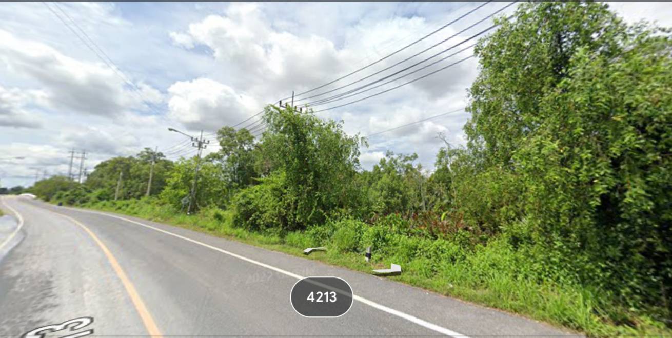 ขายที่ดิน สุราษฎร์ธานี 8-2-12 ไร่