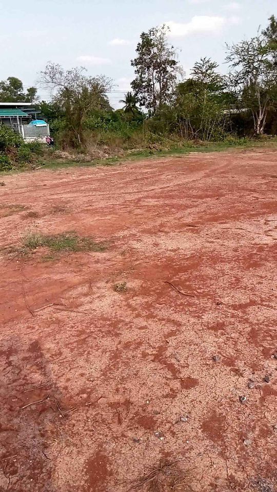 ที่ดินเปล่าเหมาะสำหรับสร้างบ้านหรือธุรกิจต่างๆ อุดรธานี 166 ตรว.