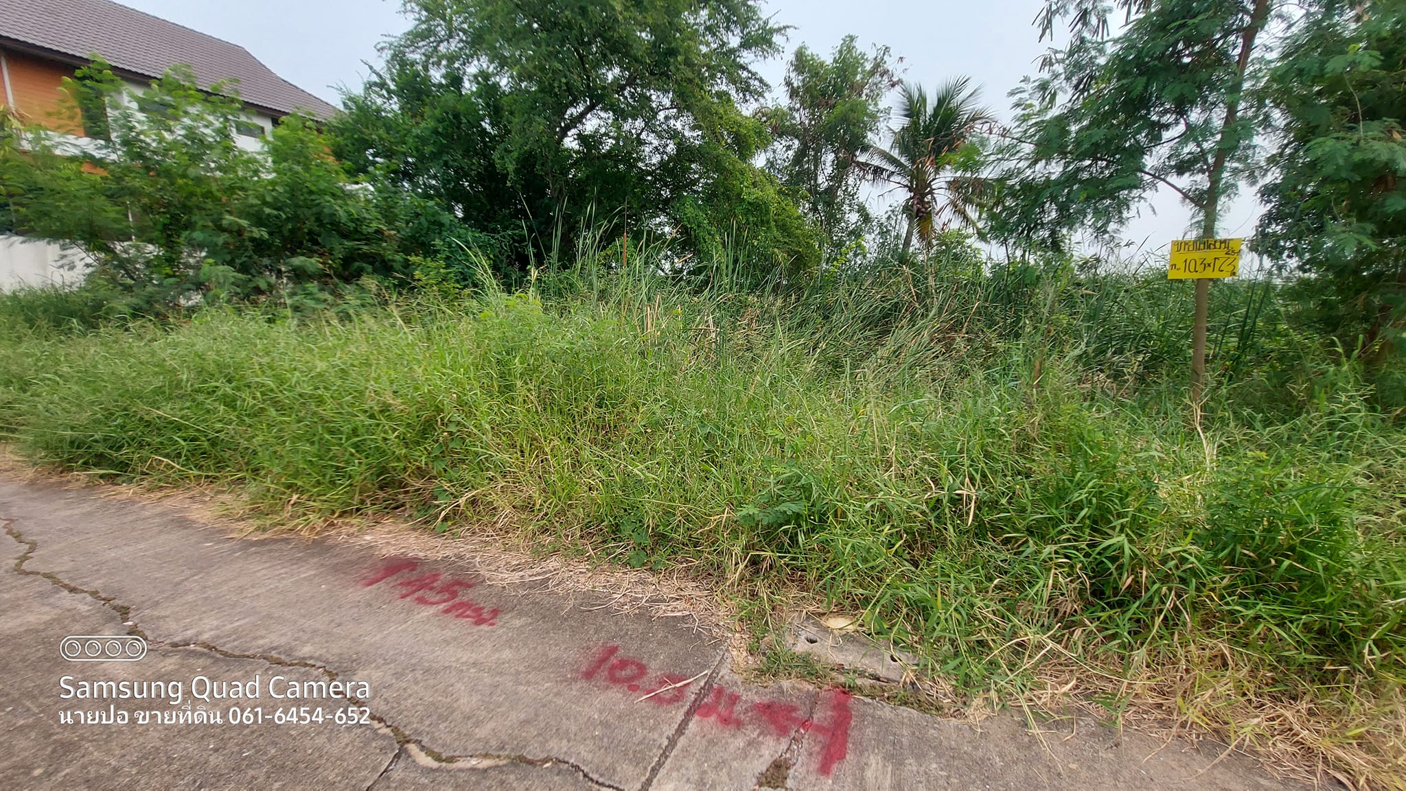 ที่ดินขนาด 45 ตรว. ต.บ้านใหม่ อ.บางใหญ่ จ.นนทบุรี 