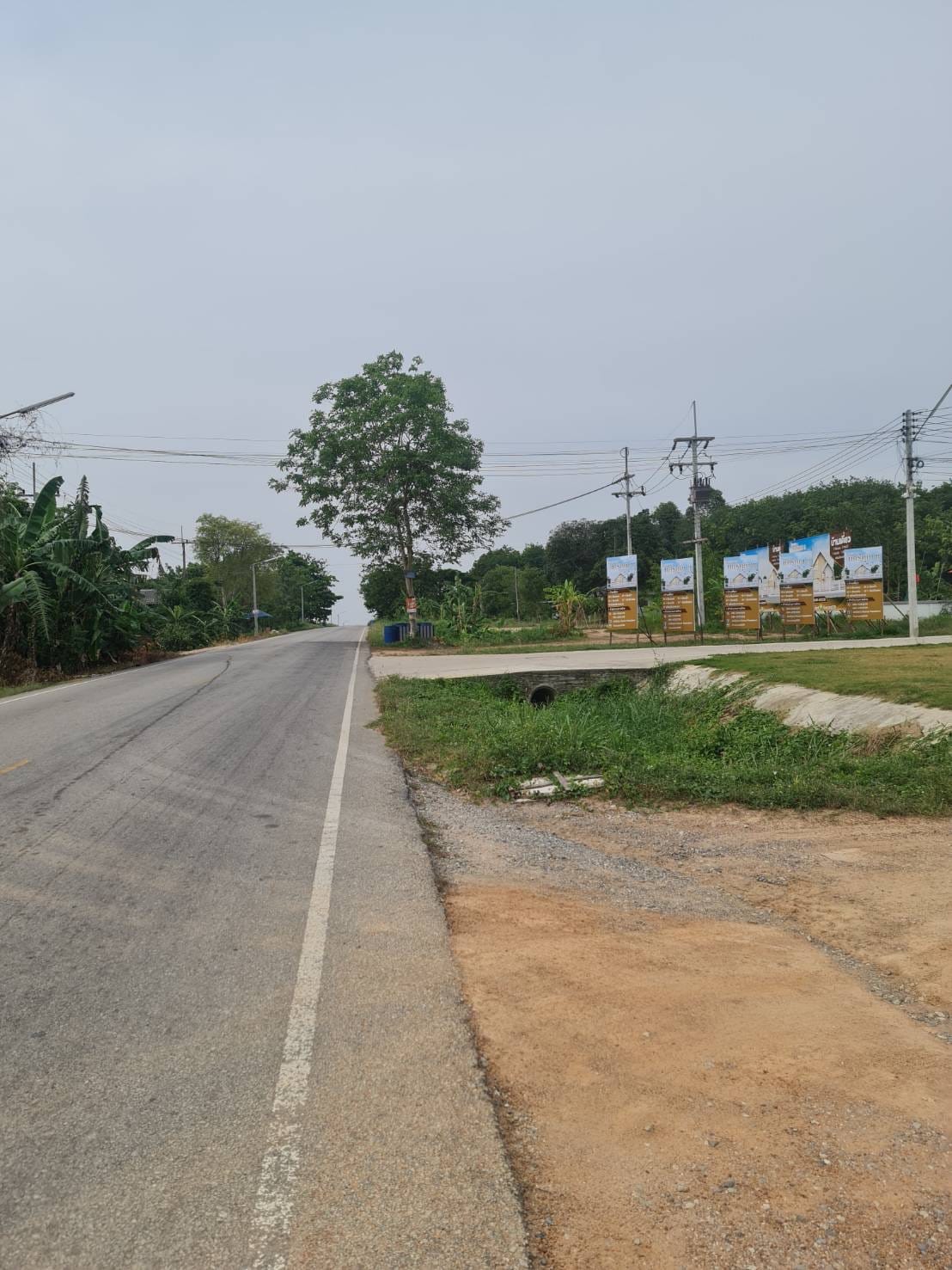 ขายที่ดินในเขตอำเภอนิคมพัฒนา ทำเลดี กำลังเป็นที่นิยมของนักลงทุนทั้งด้านอุตสาหกรรมและหมูบ้านจัดสรร