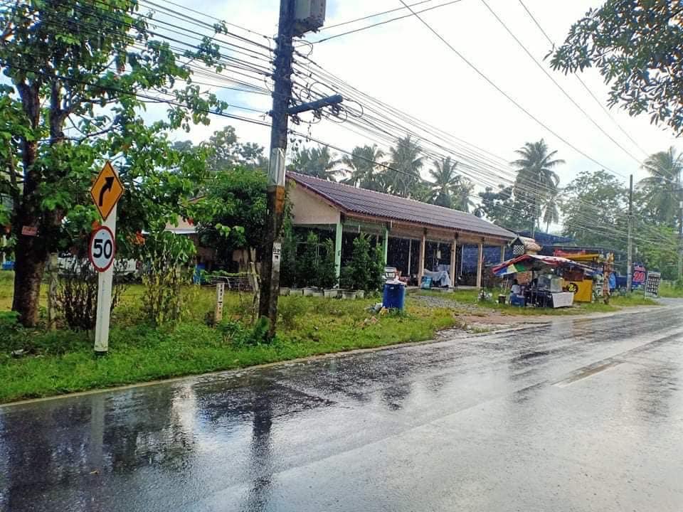 ที่ดินพร้อมห้องแถว นครศรีธรรมราช 4-2-50.8