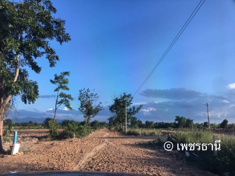 ที่ดินสำหรับทำสวนเกษตร ,ปศุสัตว์,บ้านพัก เพชรบุรี 10-2-12