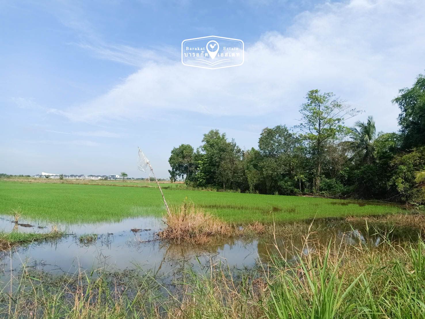 ที่ดินติดคลอง เดินทางสะดวก เขตหนองจอก  จังหวัดกรุงเทพฯ