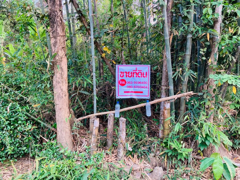 ที่ดินเปล่าในชุมชน เกือบ 2 ไร่ ลำปาง