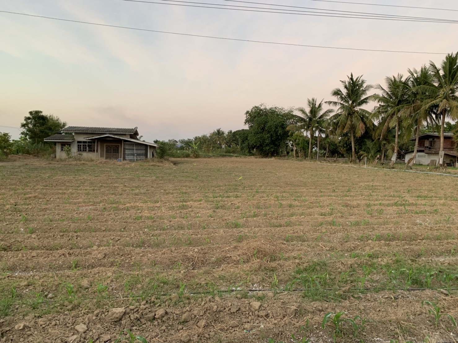ที่ดิน นส.4 สุพรรณบุรี 1-3-40 