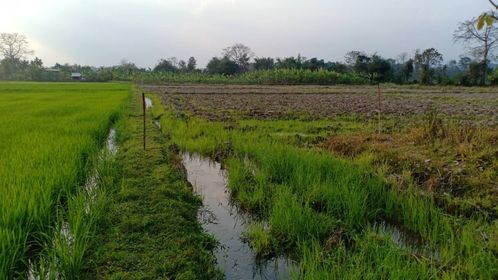 ที่ดินเปล่า เมืองเชียงราย 5-2-60