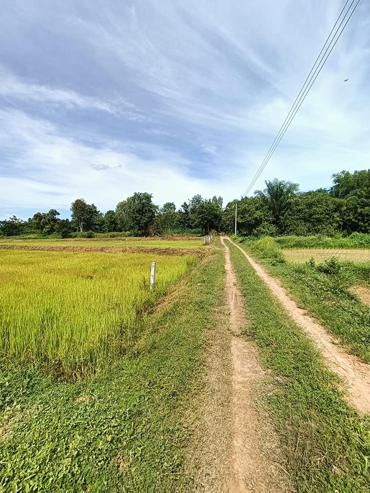 ขายที่ิดิน จ.อุบลราชธานี อ.เดชอุดม 10 ไร่