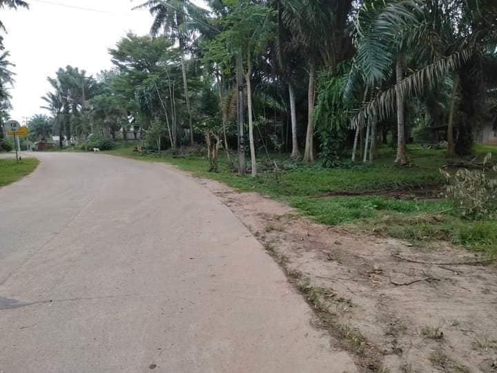 ขายที่ดิน ชุมพร 1-2-94 ไร่