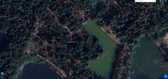 ขายที่ดิน 2 ไร่ ปงแสนทอง ใกล้เมืองลำปาง เหมาะสร้างบ้าน-ทำเกษตร