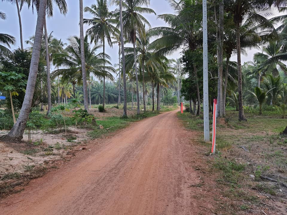 ที่ดิน สวนมะพร้าว ประจวบคีรีขันธ์ 5 ไร่