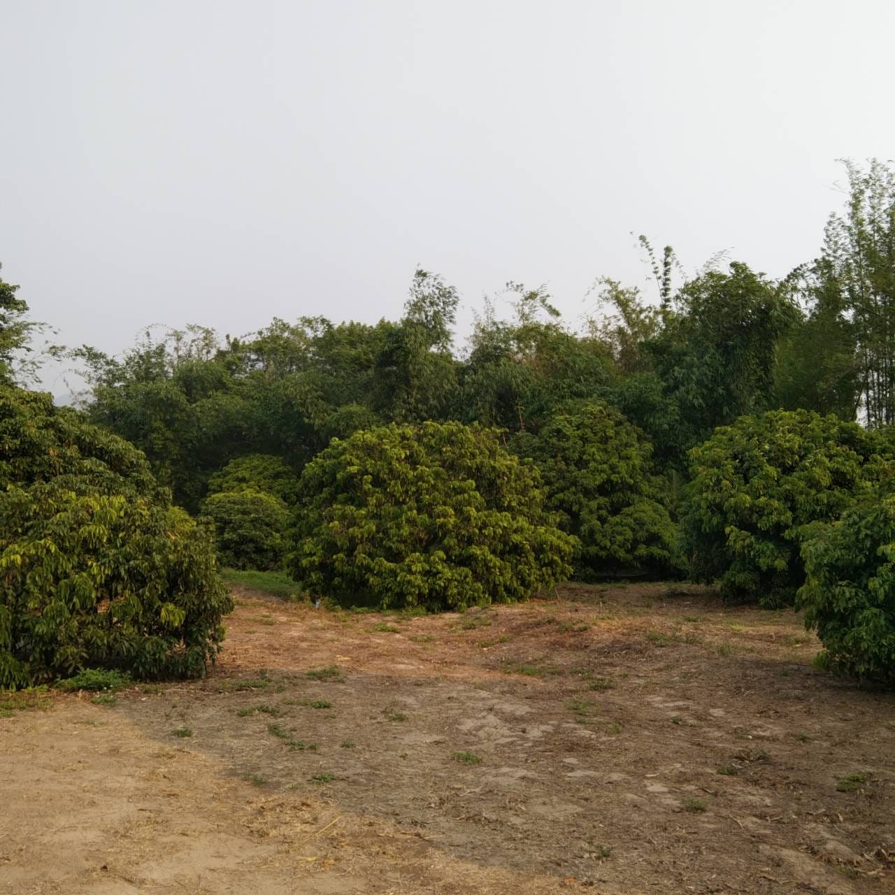 ขายที่ดิน ริมน้ำแปะ บ้านแปะ จอมทอง เชียงใหม่ เนื้อที่ 6 ไร่