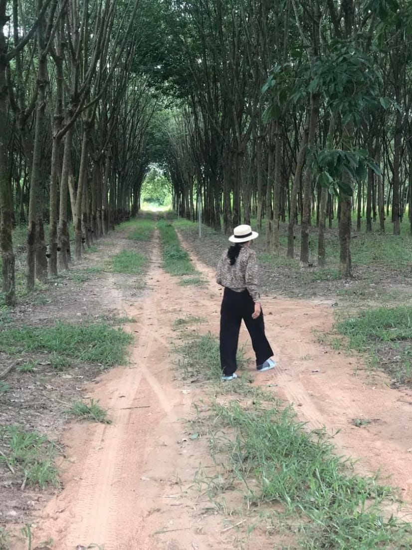 ขายที่ดินด่วน