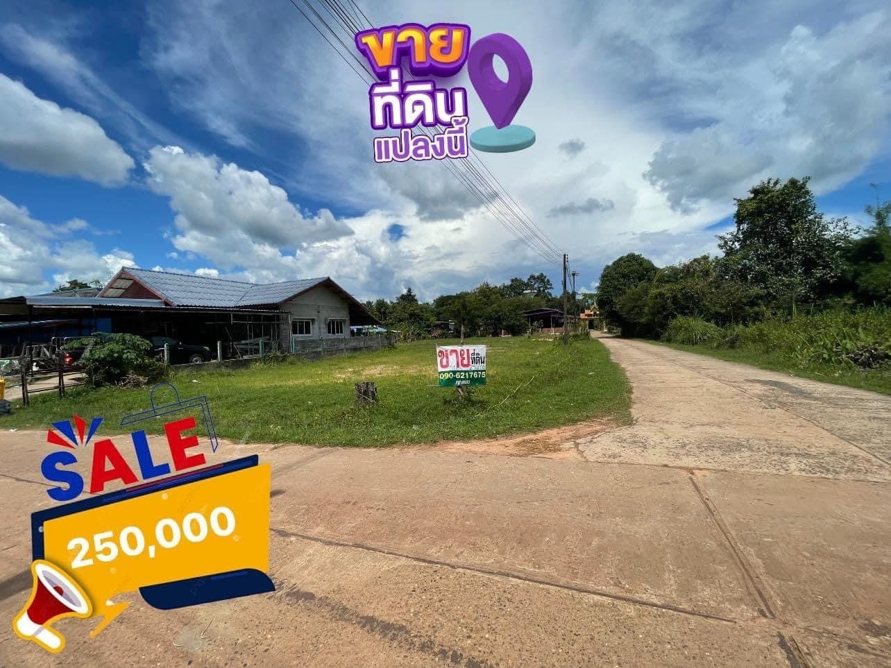 ที่ดิน 1งาน 51 ตร.วา🥇 ติดถนนคอนกรีต2 ด้านกลางชุมชนบ้านหนองไผ่