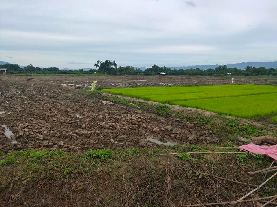 ขายที่ดินเชียงใหม่ อ.ฝาง 4-1-64 ไร่