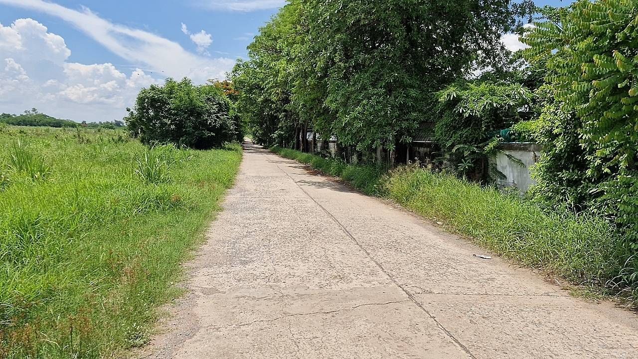 ขายที่ดินขอนแก่น ชุมแพ ที่ดินเปล่า แปลงใหญ่ เหมาะลงทุนมาก