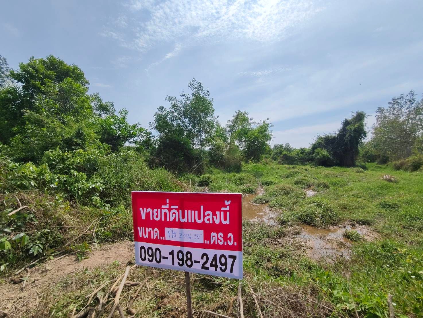 ขายที่ดิน บ้านพรุ ขนาด เกือบ 2 ไร่