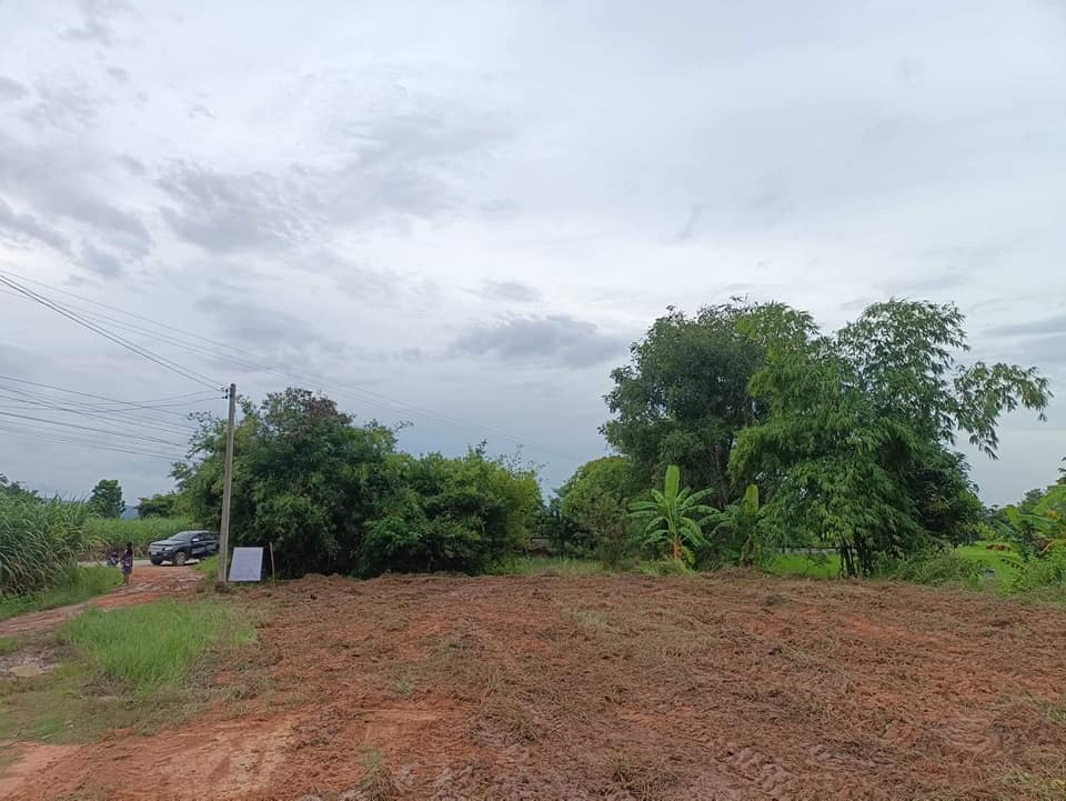 ขายที่ดิน บ้านหนองเซียงชุย ต.ป่าหวายนั่ง อ.บ้านฝาง จ.ขอนแก่น 165 ตรว.