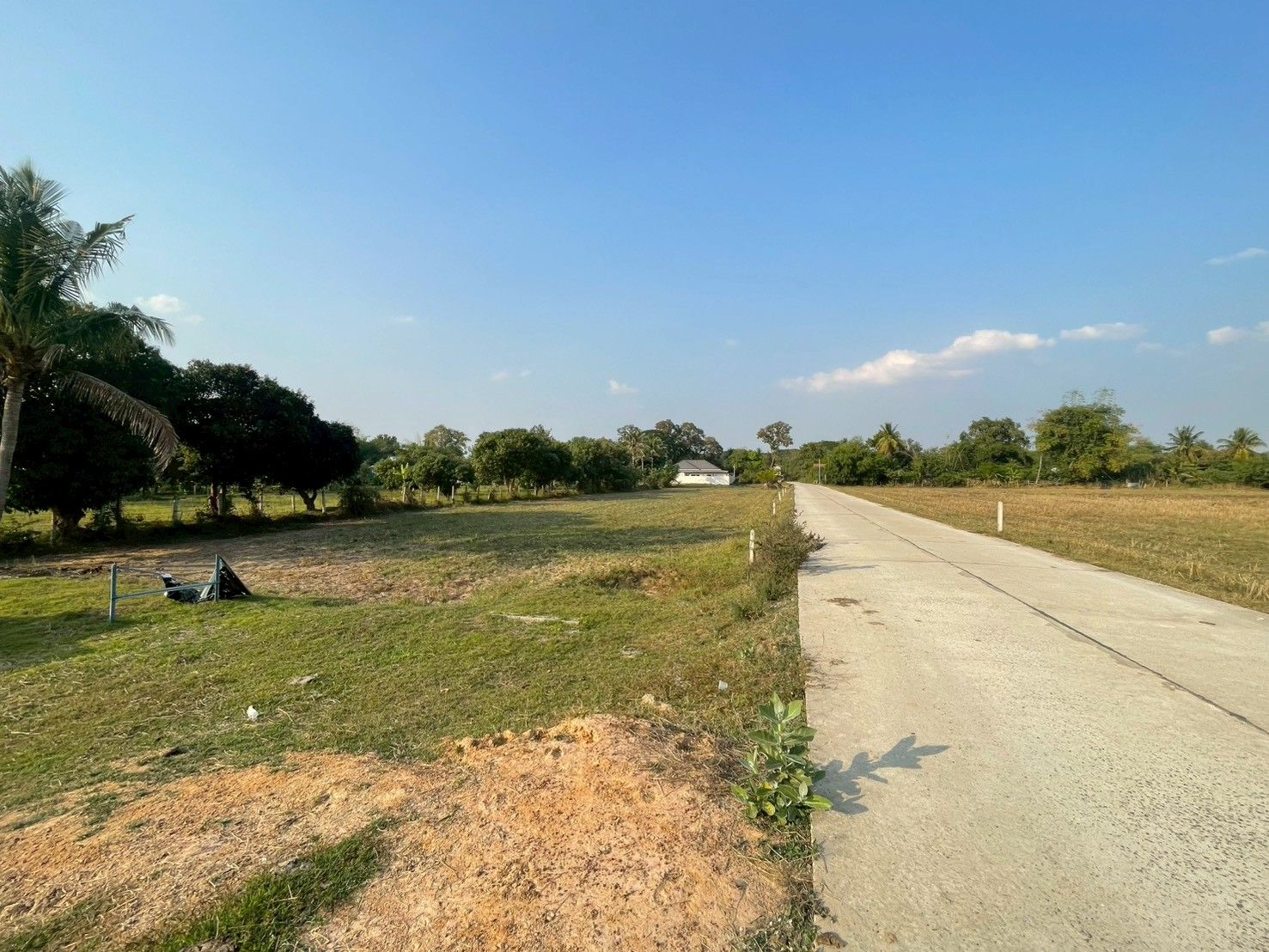 ขายที่ดินเปล่าสำหรับสร้างที่พักอาศัย ตำบลคอโค