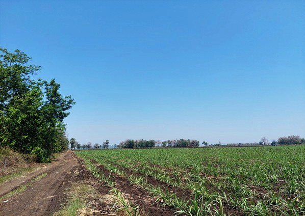 ขายที่ดิน ลพบุรี 15 ไร่