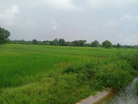 ที่ดิน ติดถนนลาดยาง คลองชลประทาน  ขอนแก่น 3-3-67